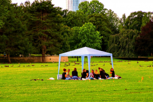 Spätsommer-Picknick für junge Menschen mit MS