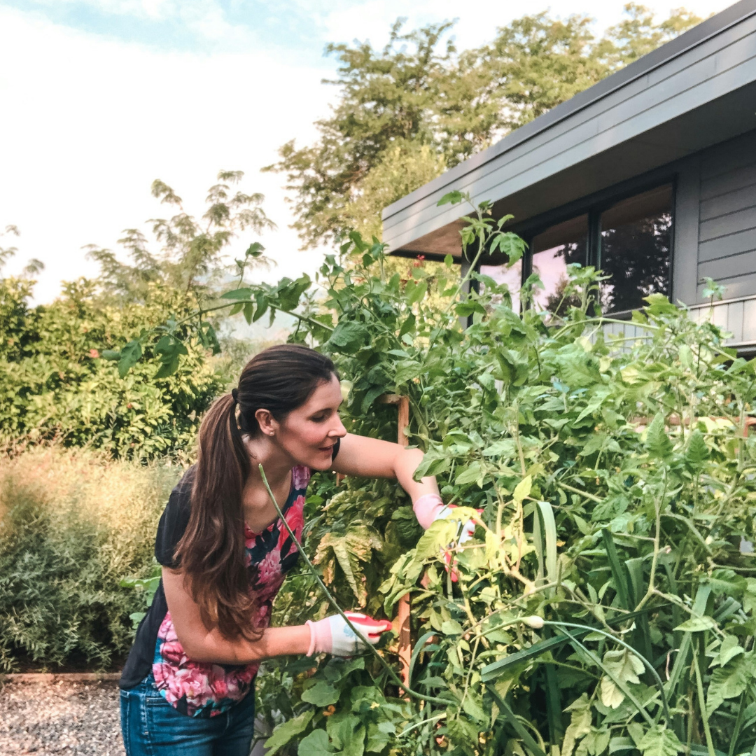 Eine Frau steht im Garten und schneidet mit Gartenhandschuhen lange Pflanzenstängel zurück. Sie ist von grüner Vegetation umgeben und arbeitet konzentriert.